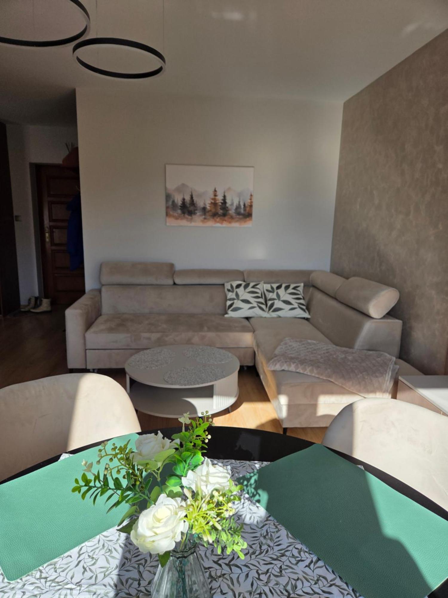 Apartament Kasprowy コシチェリスコ エクステリア 写真